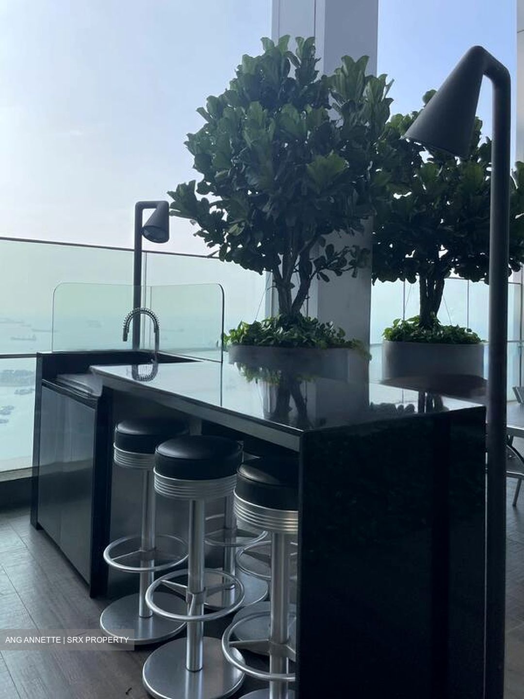 Altez (D2), Apartment #458882151